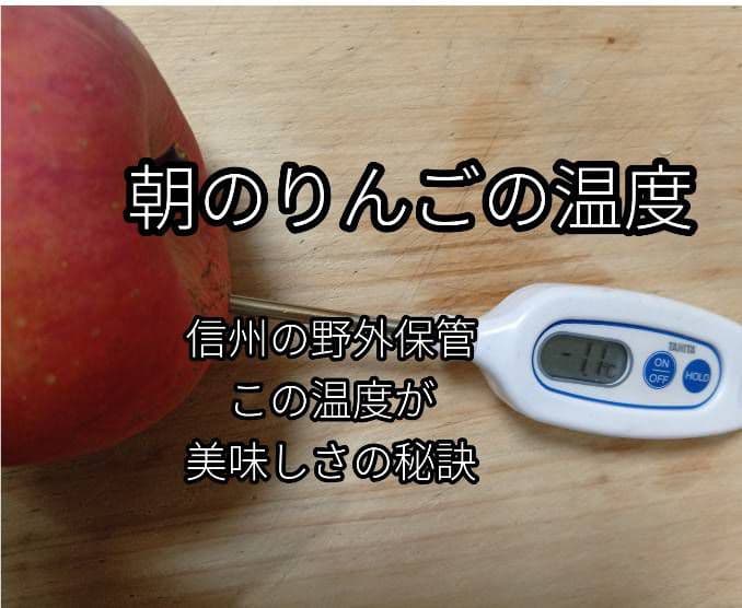 糖度21%！秀フジ・贈答用クラス10キロ【シャキシャキ】信州高山村産フジ