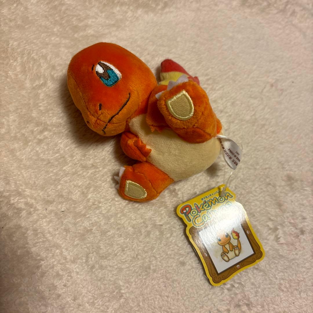 ポケモンセンター　ヒトカゲ　キャンバス　ぬいぐるみ