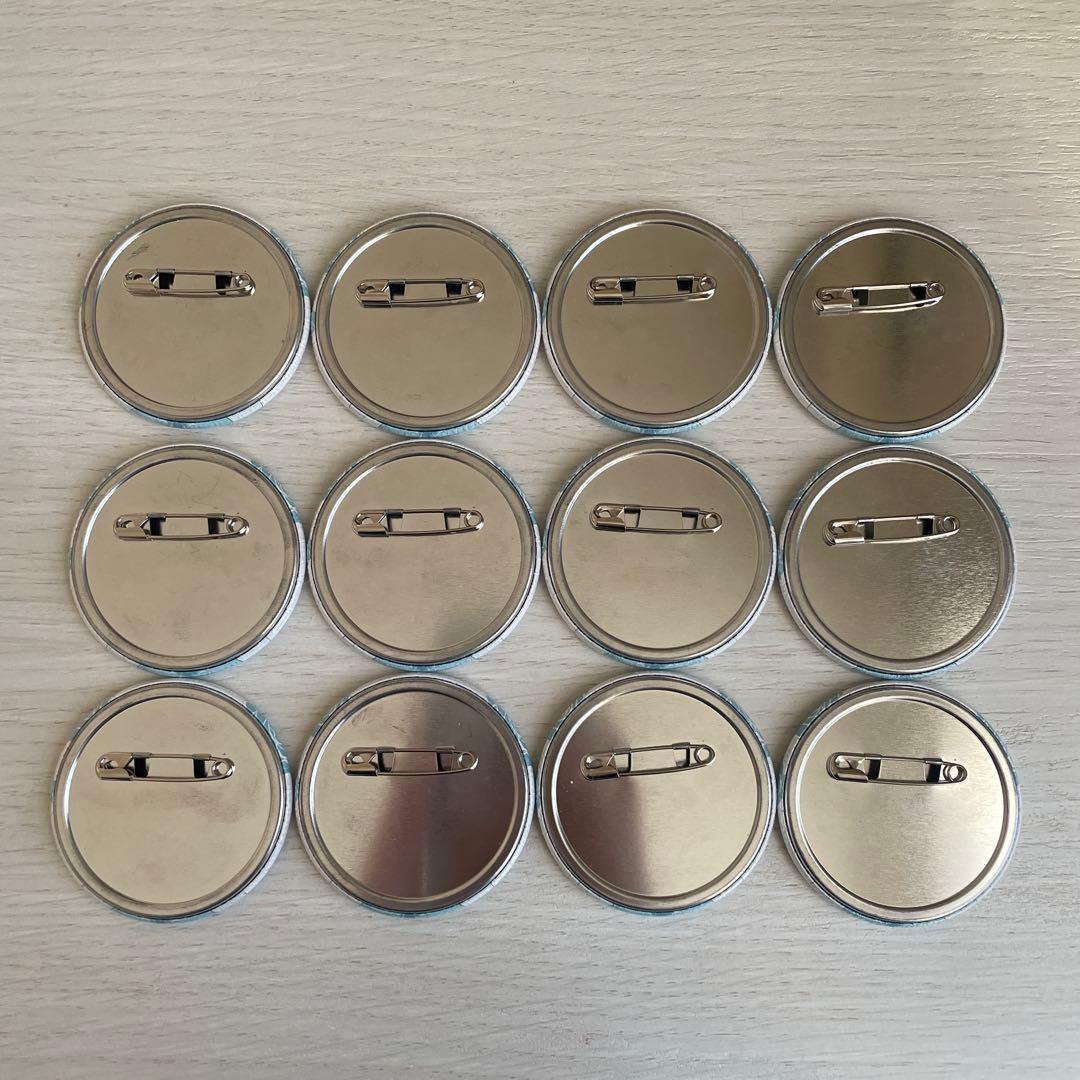 はめふら カタリナ 缶バッジ