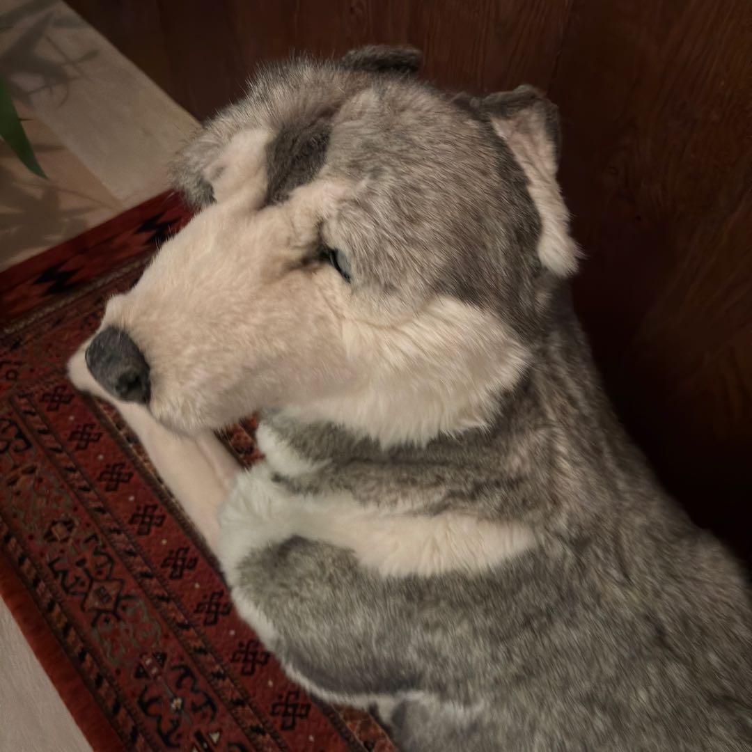 Jockline ジョックライン　ぬいぐるみ　シベリアンハスキー　狼　オオカミ