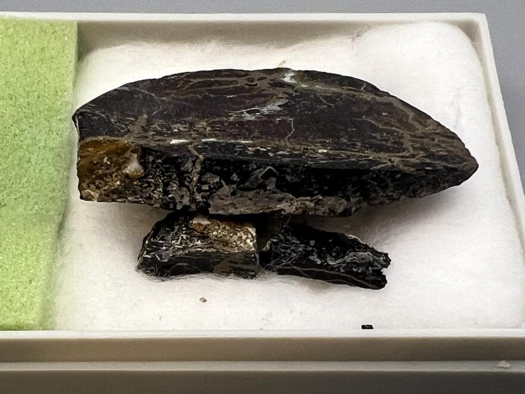 【海】石器時代 矢尻 打製石器 黒曜石 縄文時代 イグアノドン化石骨（断面）