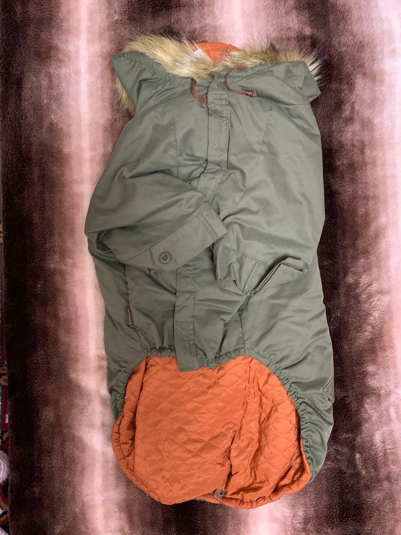 ペットパラダイス　クリエイティブヨーコ　　大型犬L コート