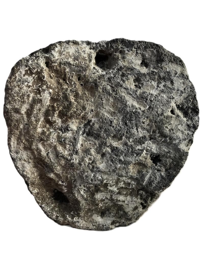 【 石像彫刻顔面部 】 先史時代伝世 収蔵品