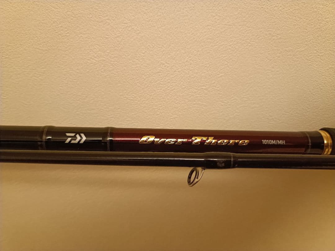 ダイワ 20オーバーゼア 1010M/MH