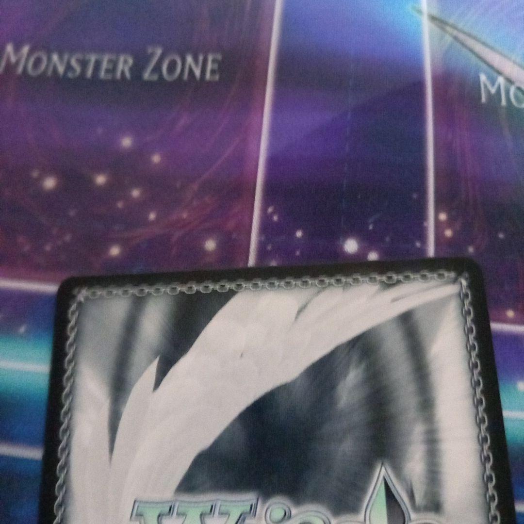 ヴァイスシュヴァルツ　可能性のその先へ　アグネスタキオン sp