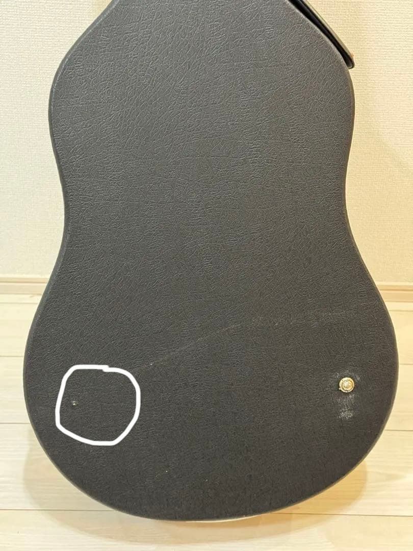 【お得】James JF350NAアコースティックギター ハードケース付き
