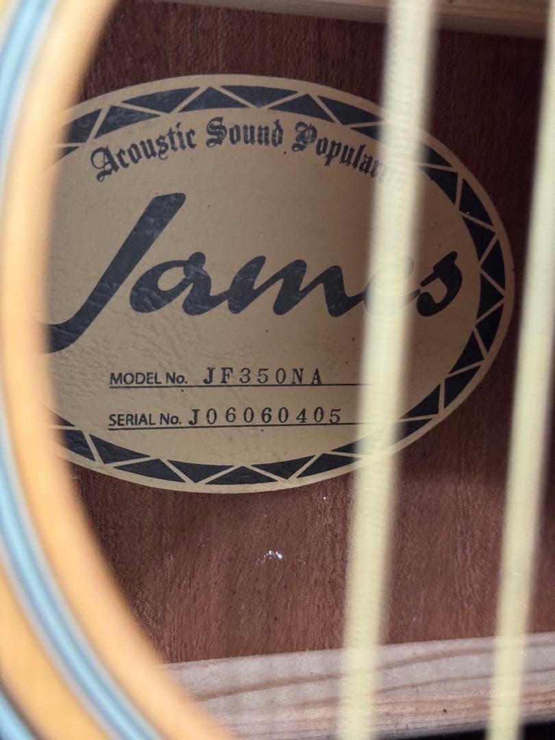 【お得】James JF350NAアコースティックギター ハードケース付き