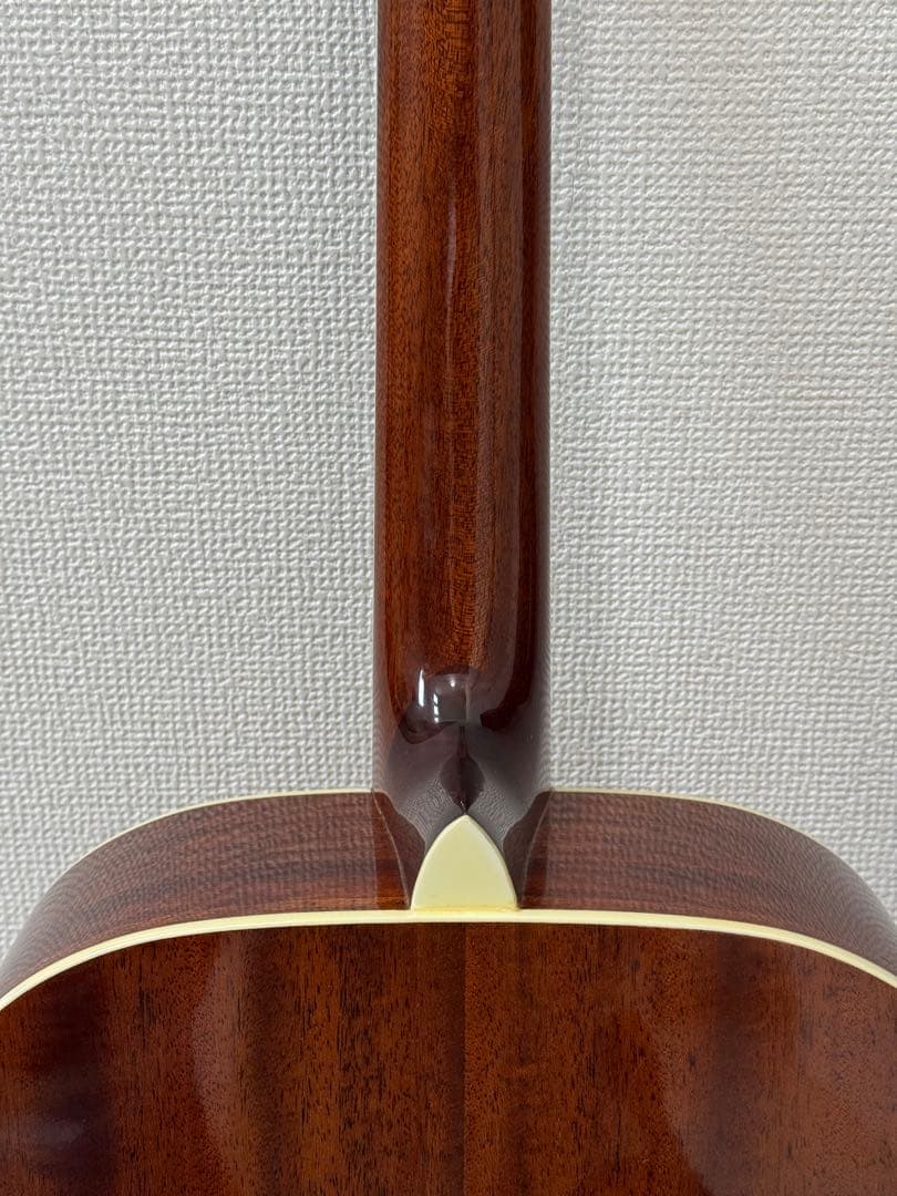 【お得】James JF350NAアコースティックギター ハードケース付き