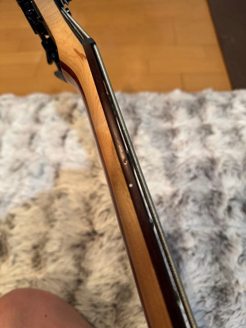 ベース Ibanez signature model fieldy K5-BKF