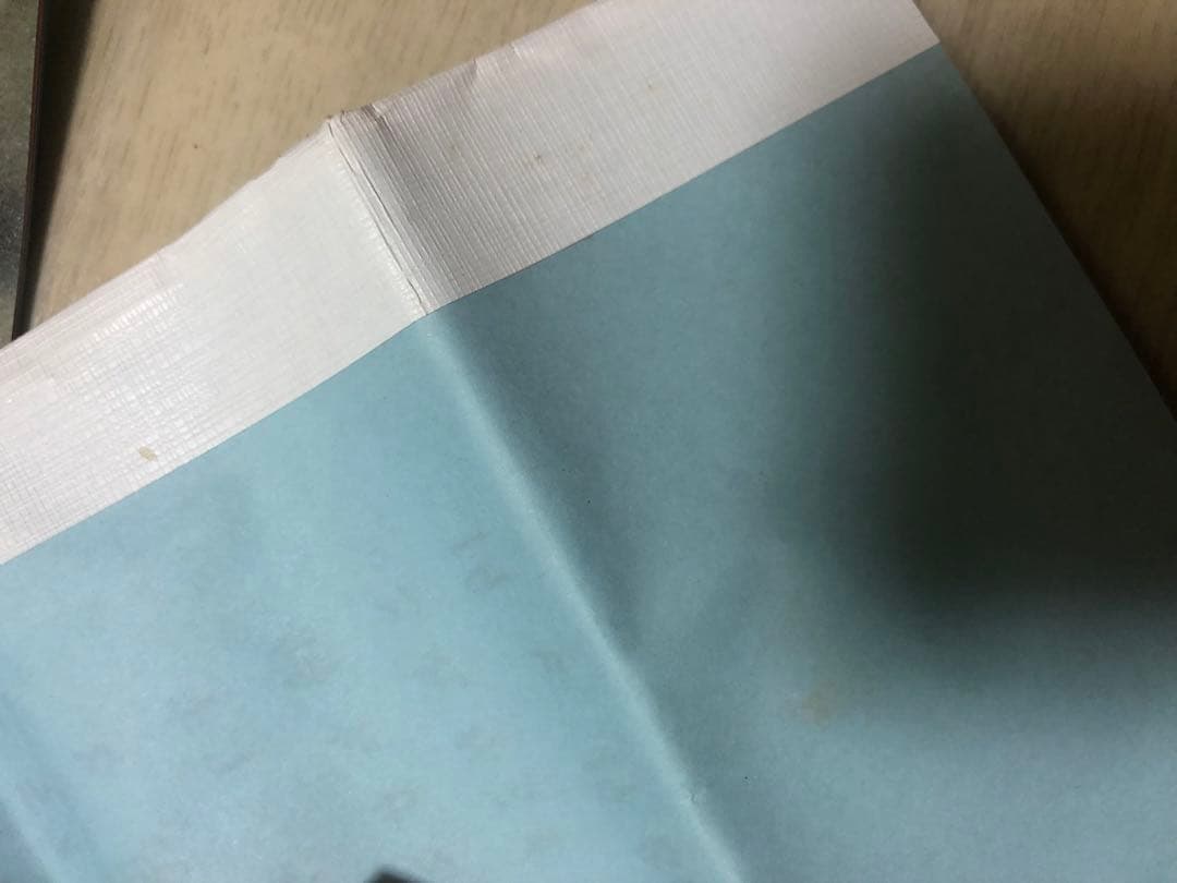 ジューク 19 会報0号　激レア　岡平健治　岩瀬敬吾