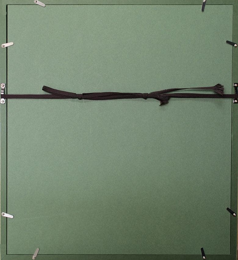 Aoi Toshio　学生運動　1969年