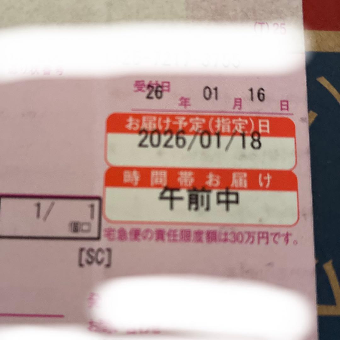 パイロゲン１箱（6本入）