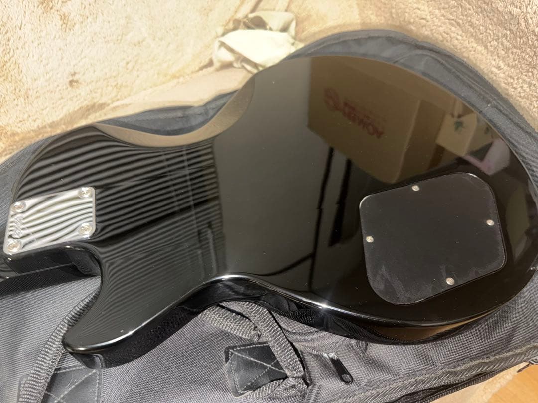 LUNA SEA inoranモデル改造品　ルナシー　イノラン