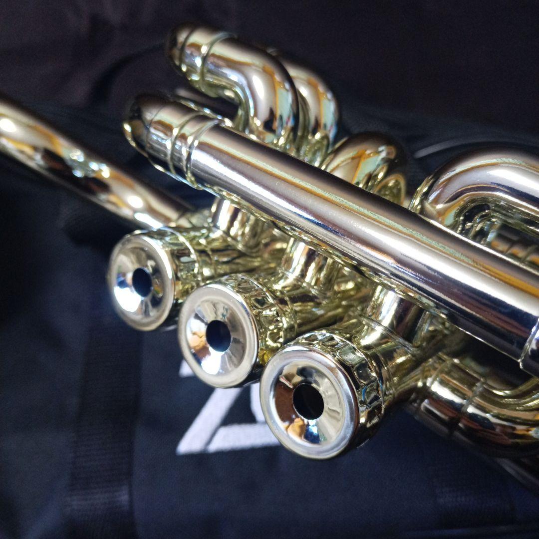 ZO プラスチックコルネット シャンパンゴールド プラクティスミュートセット