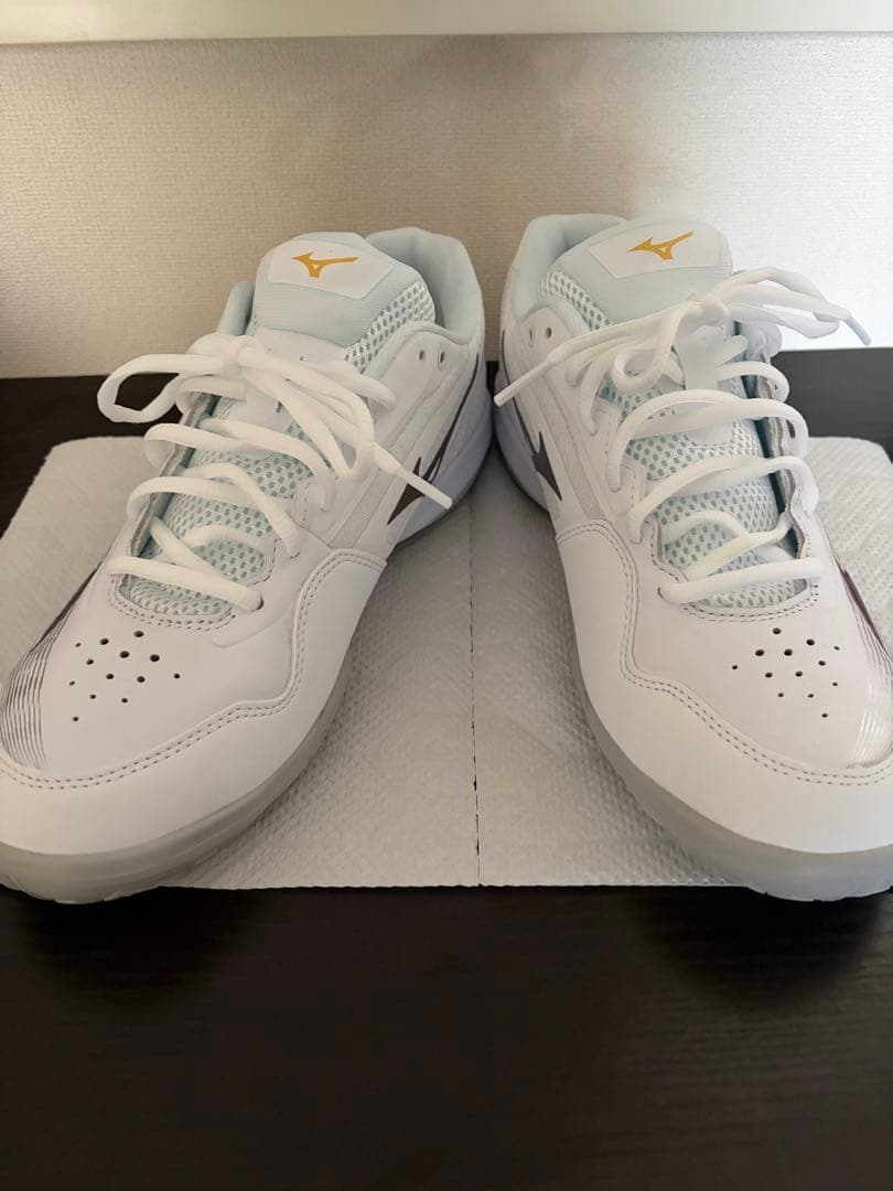 【限定品】ミズノ ウェーブクロー3