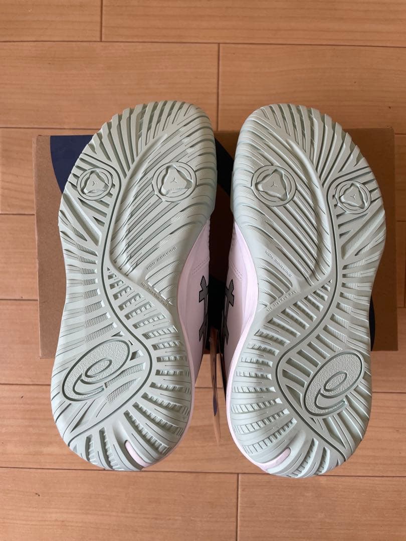 asics(アシックス)テニスシューズオールコート25.0 cm