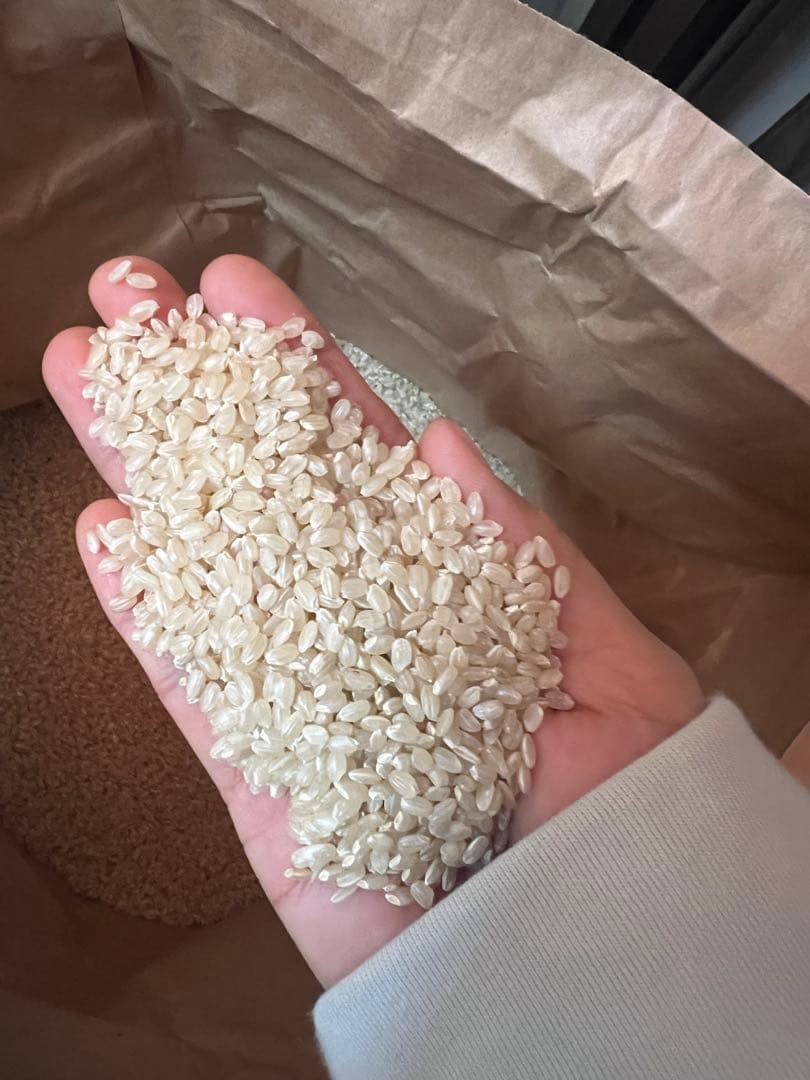 R7 新米　お米　彩のきずな 離島以外送料込み