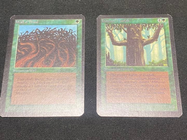 MTG 【ALPHA】 アルファ版 5枚セット