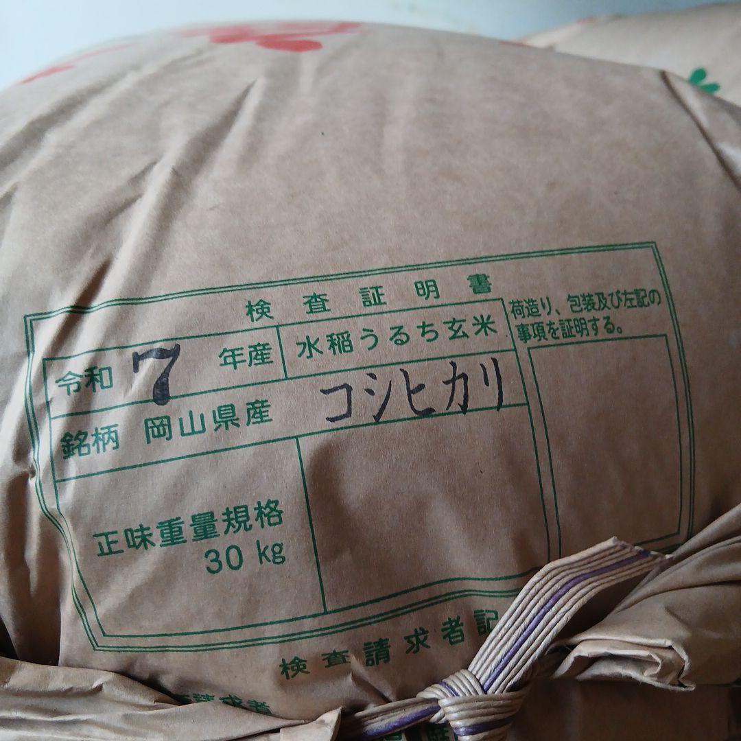 令和7年度産真庭米 コシヒカリ玄米30 ㌔低農薬農家直送