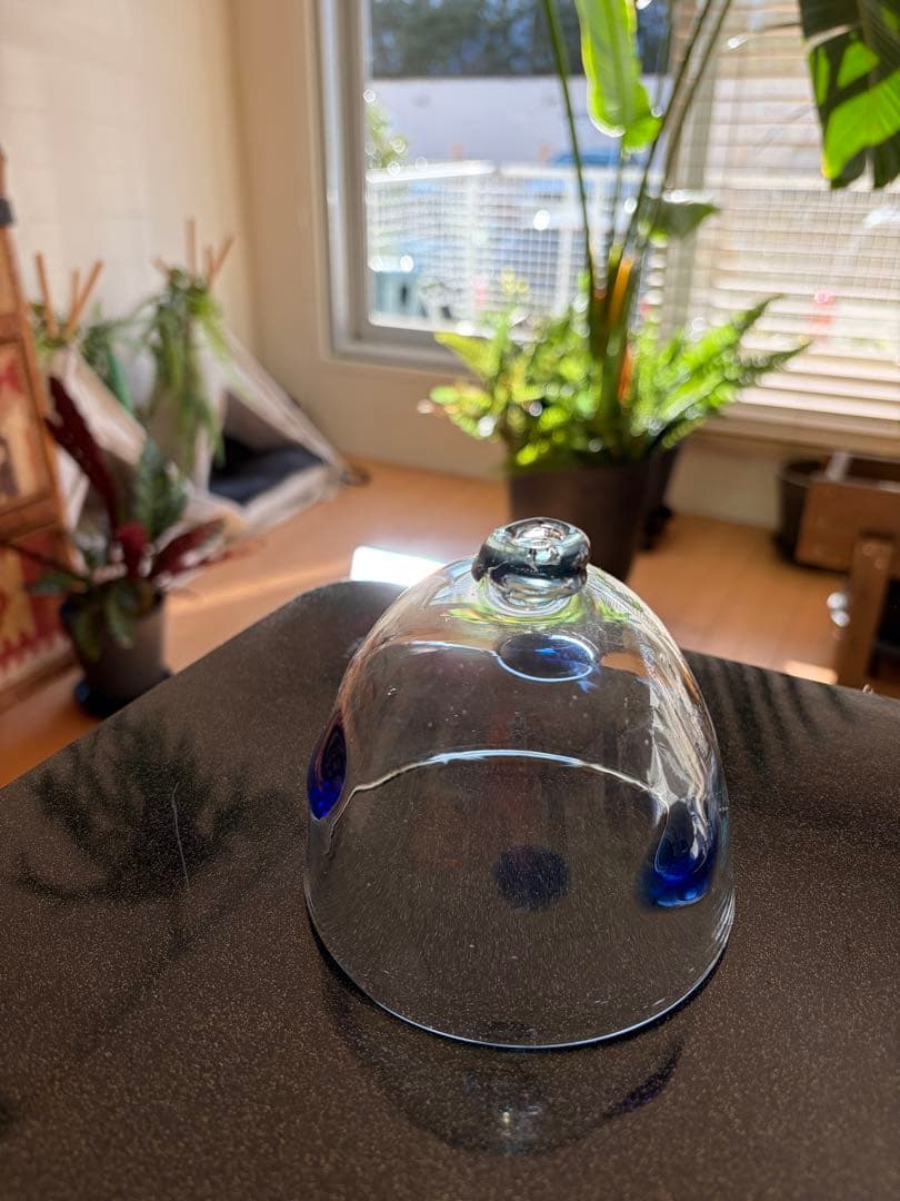 琉球ガラス 稲嶺盛吉 フードカバー 蚊帳 オトーリグラス