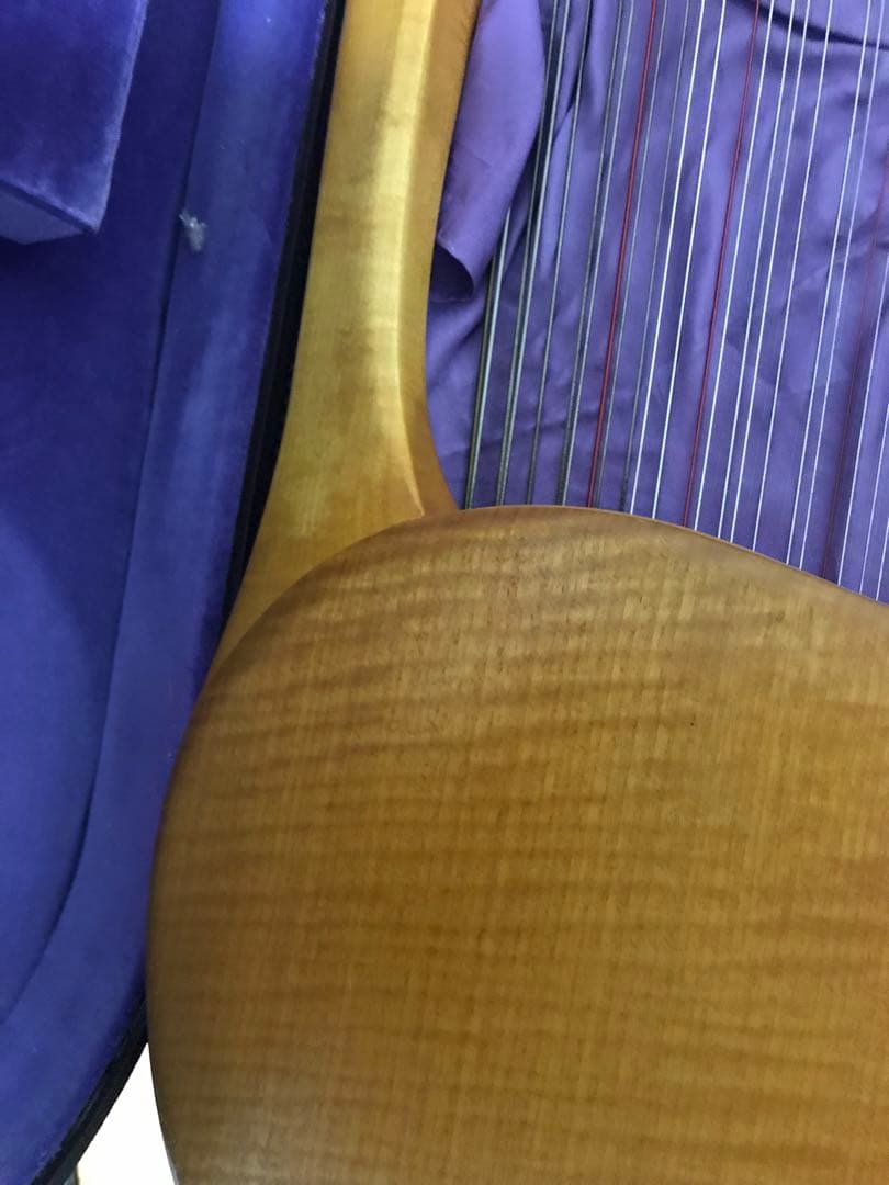 最終値下げ　19日発送　ゲルトナーテノーラライアー46弦