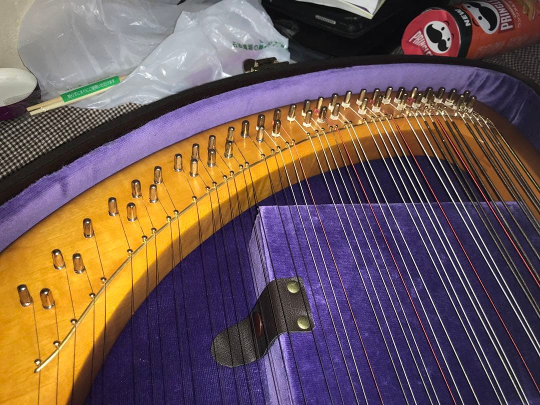 最終値下げ　19日発送　ゲルトナーテノーラライアー46弦