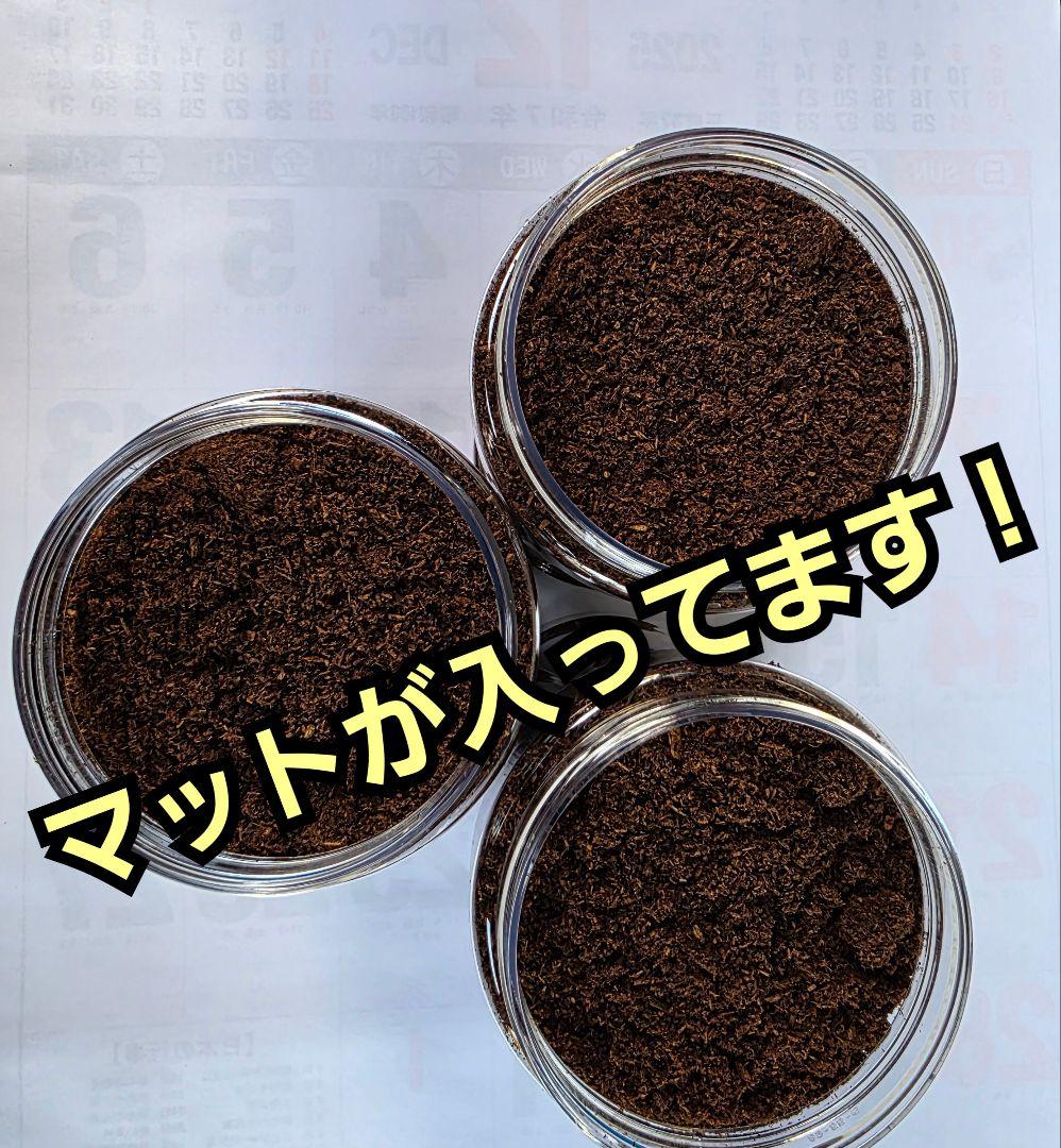 発酵マット入り！国産カブトムシ幼虫1頭飼育専用縦長クリアボト【12本セット】