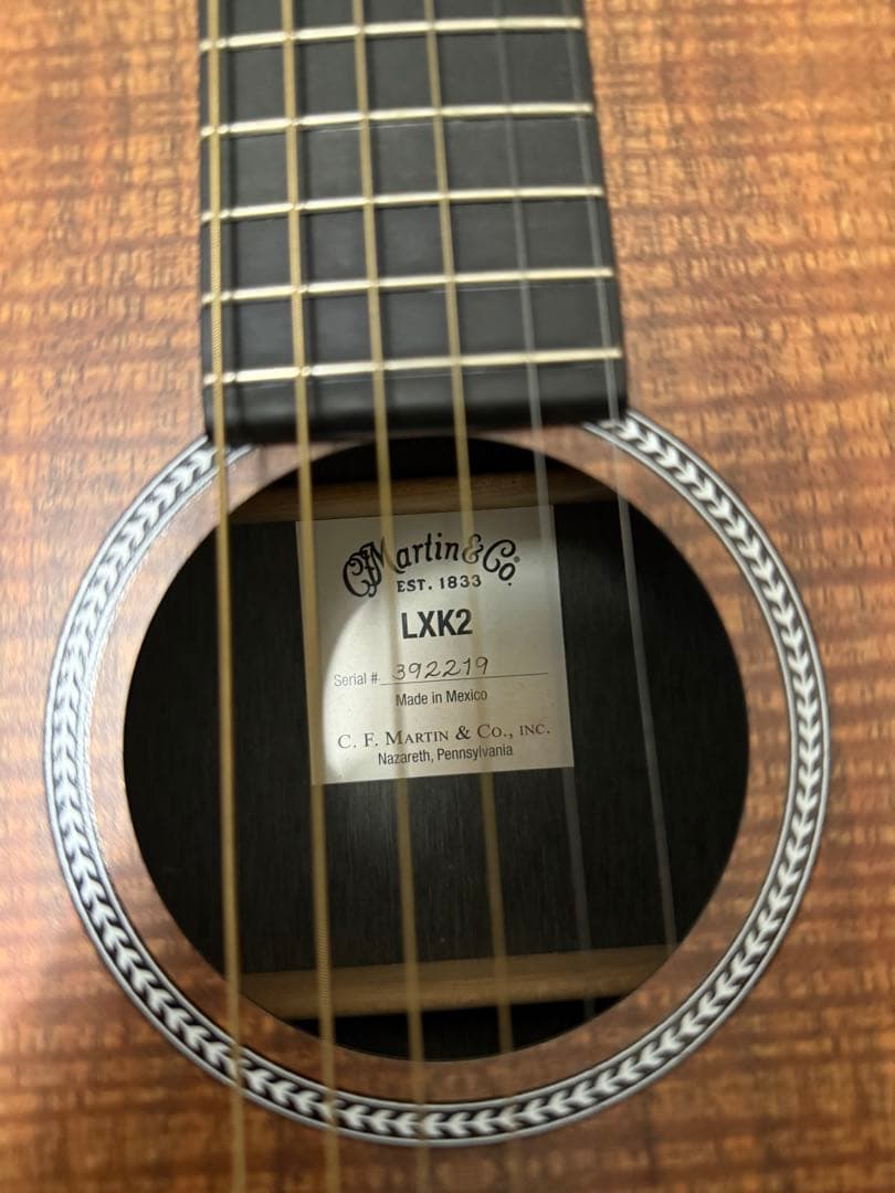 Martin & Co. LXK2 アコースティックギター