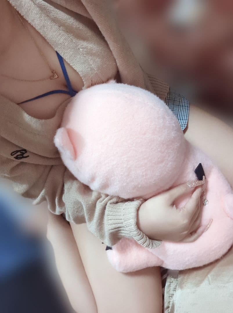 ぬいぐるみ　新品未使用