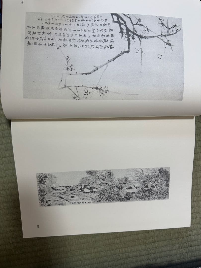 趙之謙　中国　骨董品　古美術品　掛け軸　書　出版物　巨大本　清朝　古書