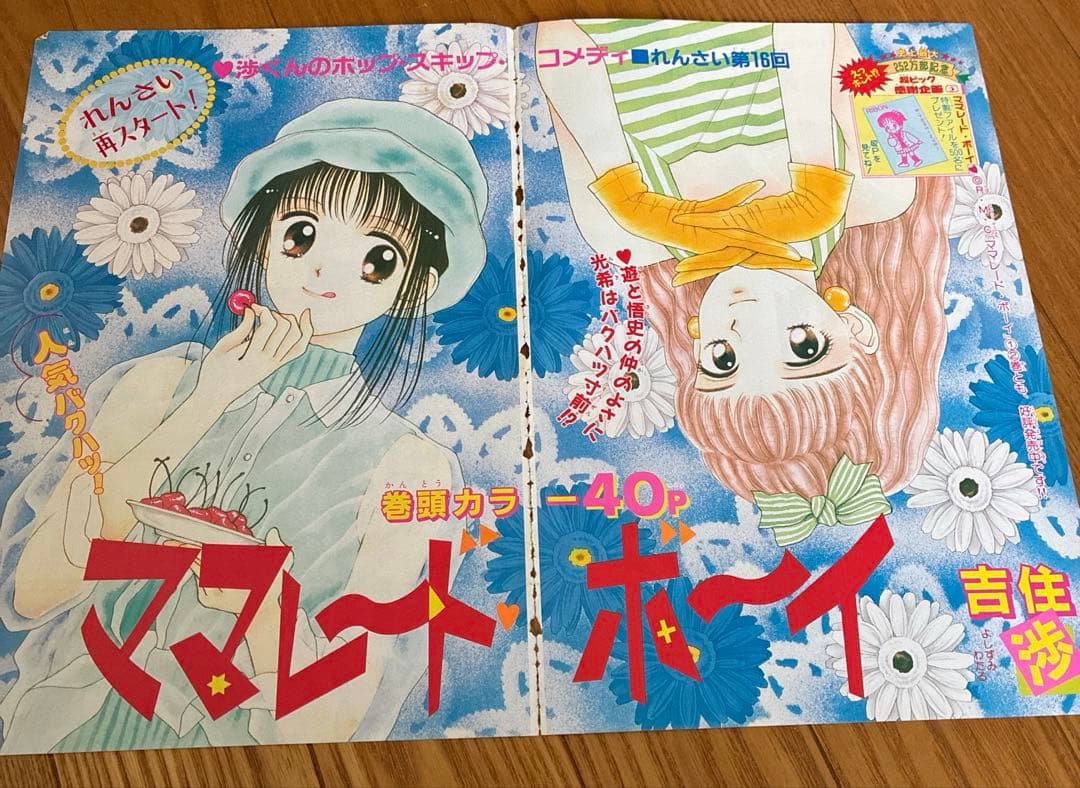 りぼん　付録　ママレードボーイ　吉住渉　扉絵　巻頭カラー　カラーページ　切り抜き