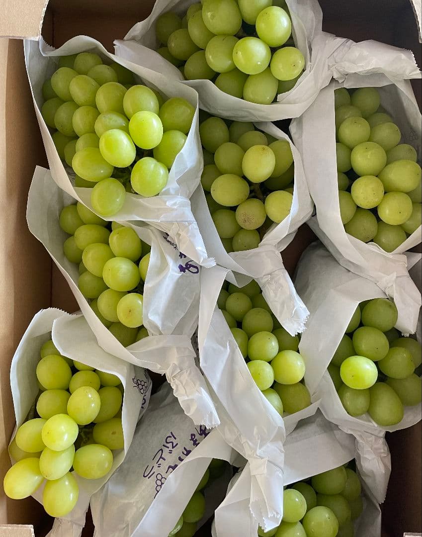 「週末セール」シャインマスカット5kg 房入り 訳あり ラスト