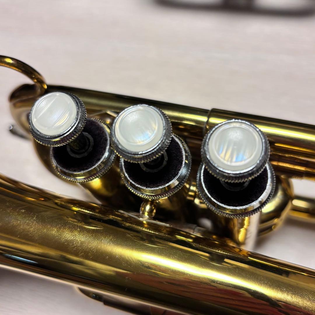 MARCATO Sophiaシリーズ　ポケットトランペット　マルカート　ソフィア