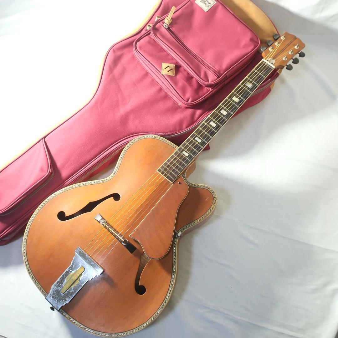 Nardan ナルダン ピックギター ケース付 弦交換済