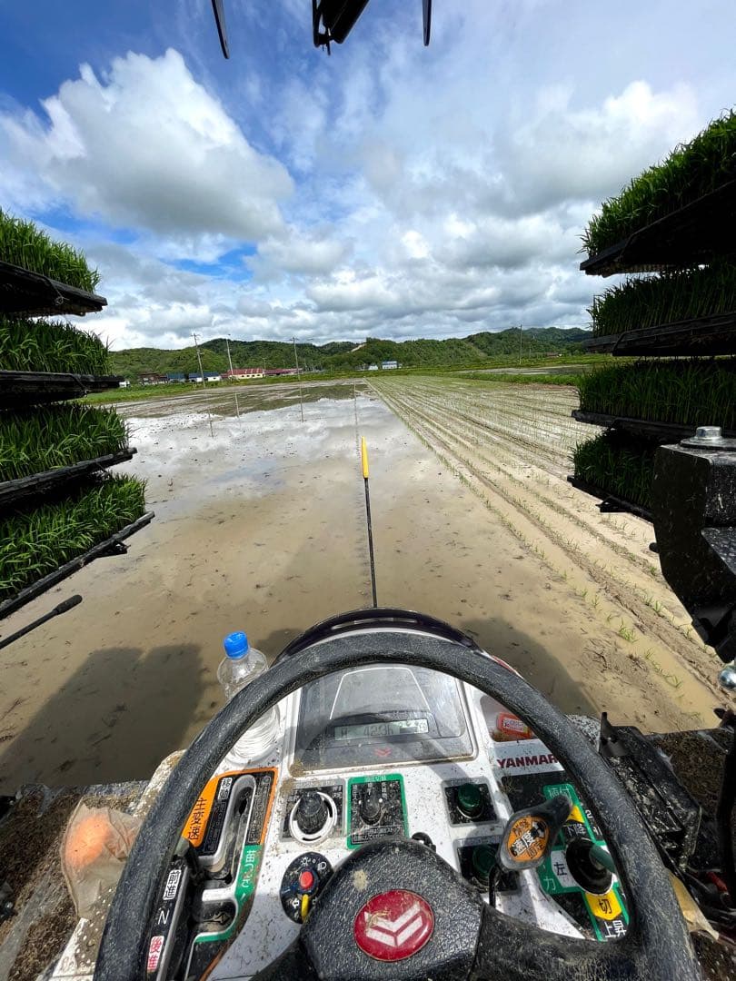 ななつぼし＊北海道産＊農家直送＊送料込み＊白米＊美味しいお