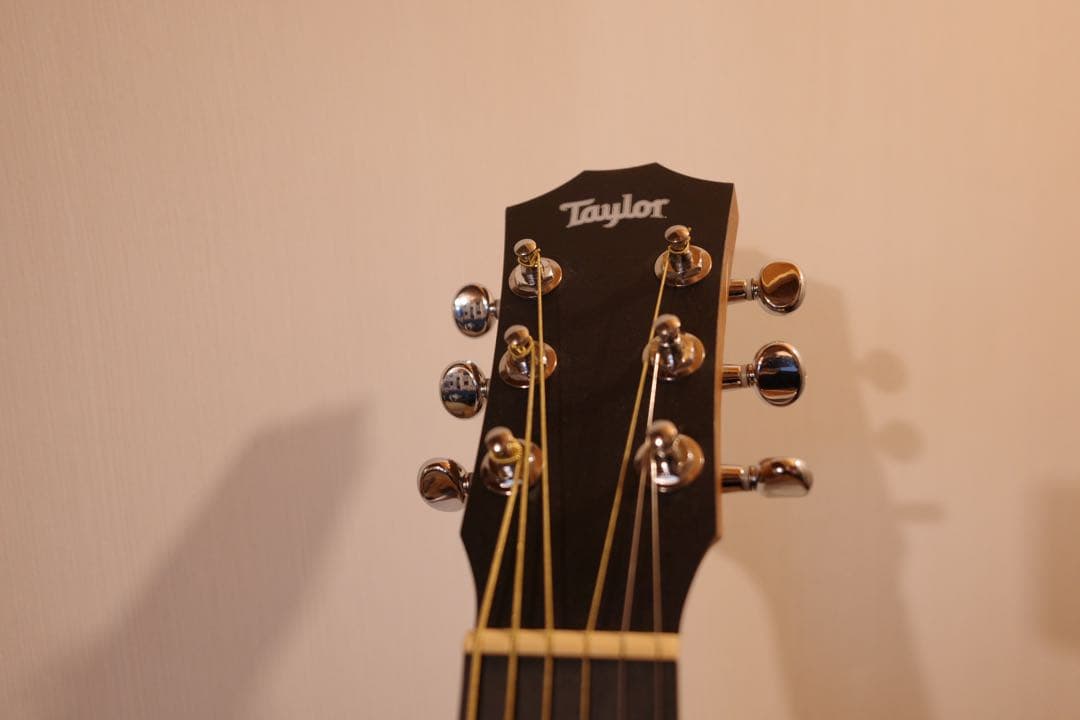TAYLOR Baby Mahogany BT2美品