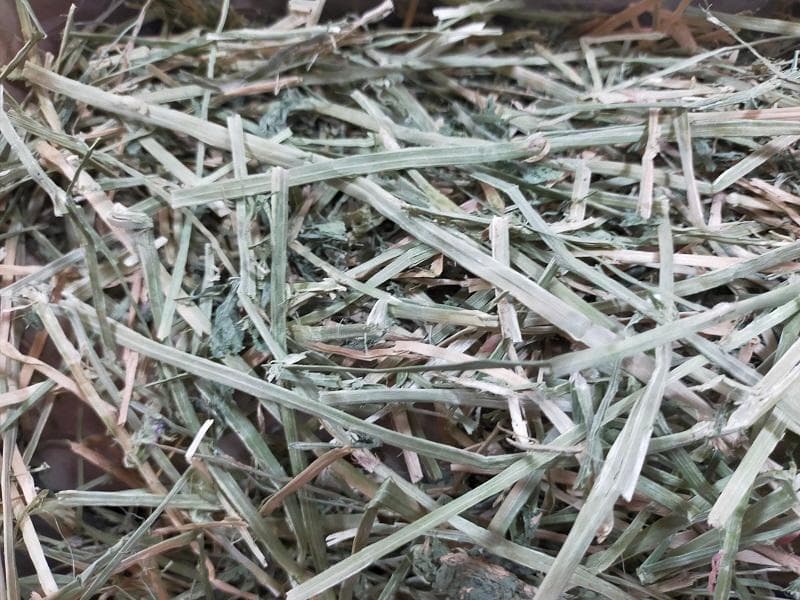 【8/20まで】 カナダ産 チモシー 60kg スーパープレミアム １番刈り