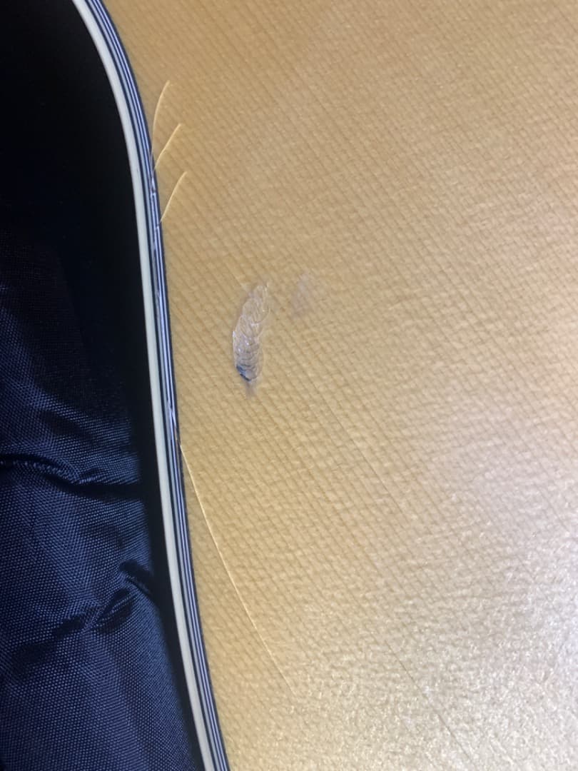 ヤマハ　アコースティックギター　LL6 カラーナチュラル