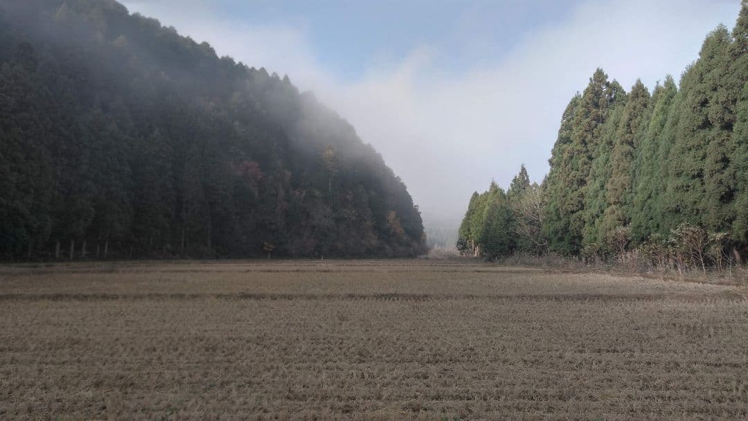 のんたん出品　【米粉 6.3kg = 900g✕7個】