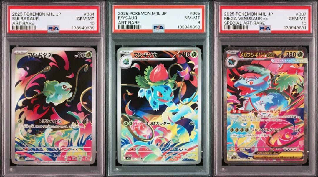 ポケモンカード　メガフシギバナex sar 進化ライン　psa 3連番