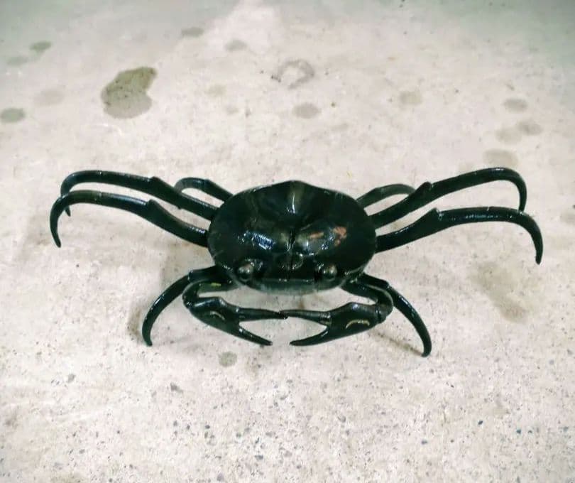 希少 美品 骨董品 アンティーク 茶道 真鍮 銅 カニ 昭和レトロ 置物 仏像