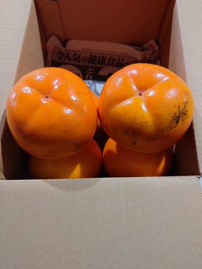 会津みしらず柿　会津身知らず柿　お試し用　6個入り　限定品　S0