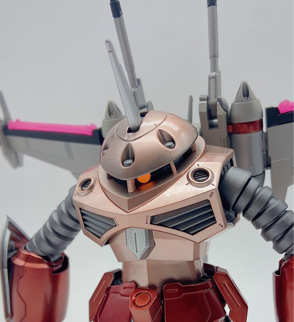 HG ズゴック 機動戦士ガンダムSEED FREEDOM 全塗装　完成品