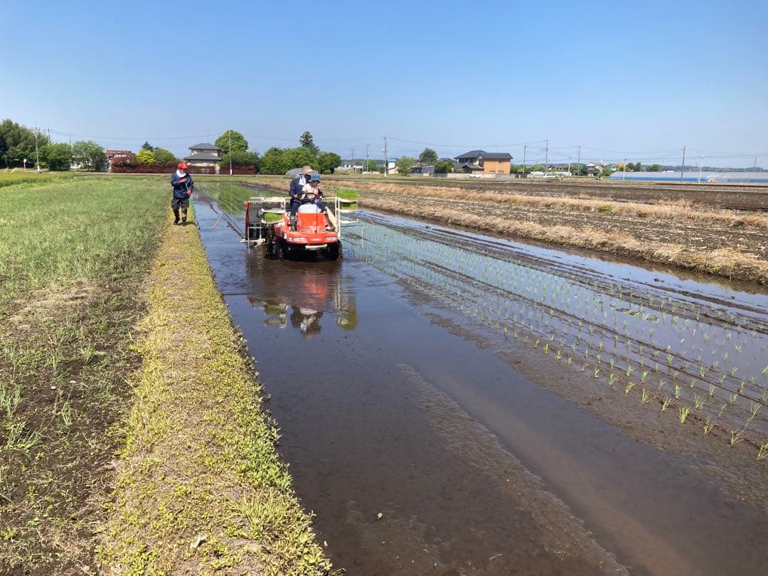 農家直送　令和七年度　栃木県産　コシヒカリ　玄米　30kg　1袋