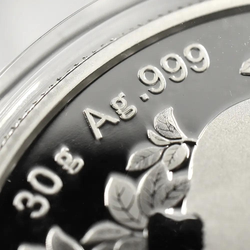 2024 (新品未使用) 中国 パンダ銀貨 30g10元 (カプセル入) 152