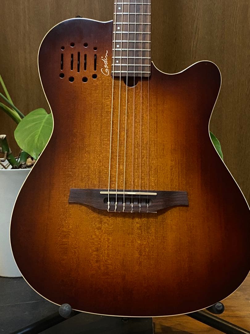 Godin Multiac Nylon Encore 中古美品