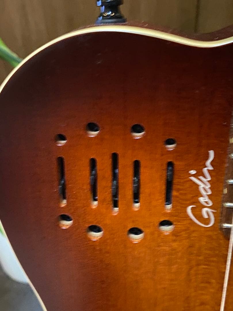 Godin Multiac Nylon Encore 中古美品