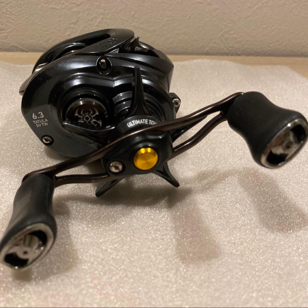DAIWA TATULA ダイワ タトゥーラ 20 SV TW 103H