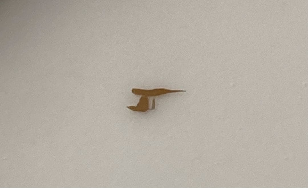 Fornasettiフォルナセッティ cammei プレート 皿