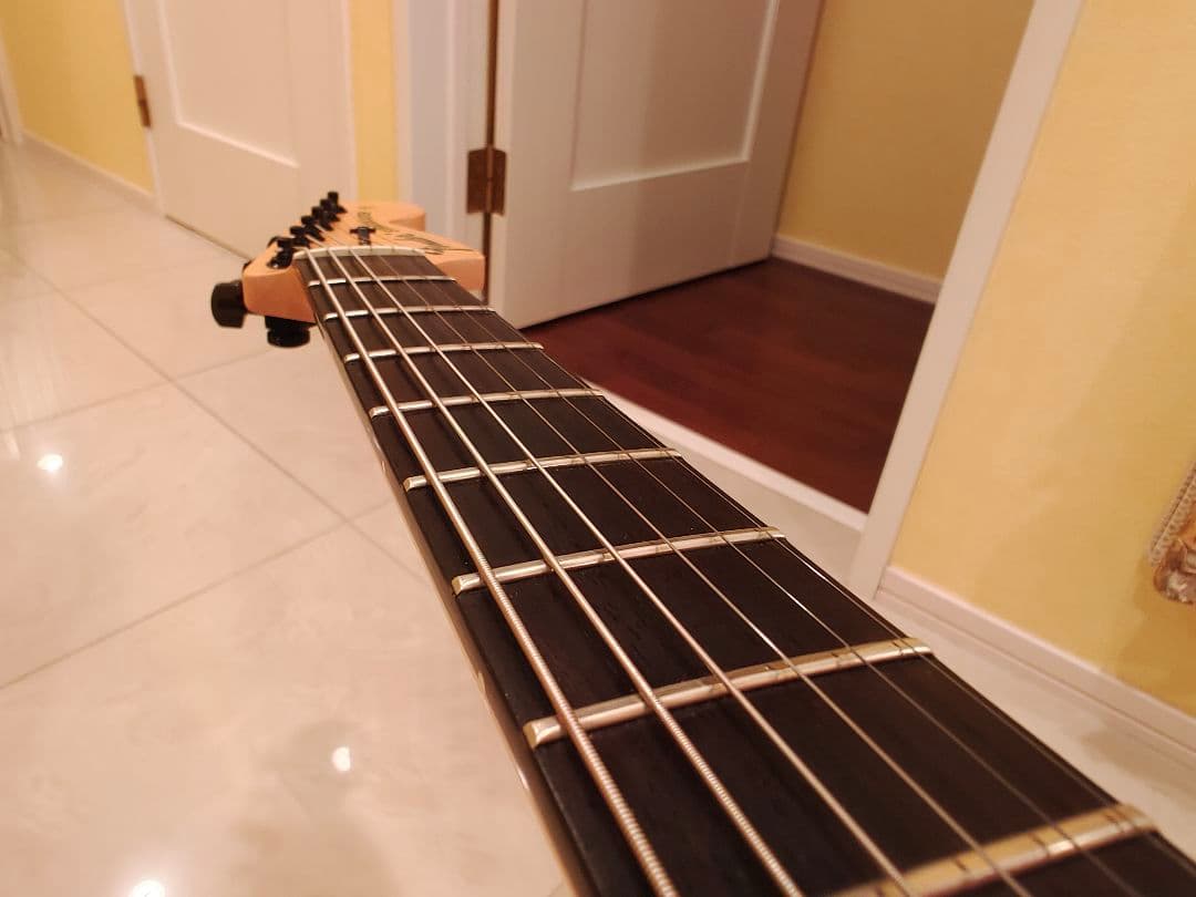 t*i様 Fender Jim Root Stratocaster